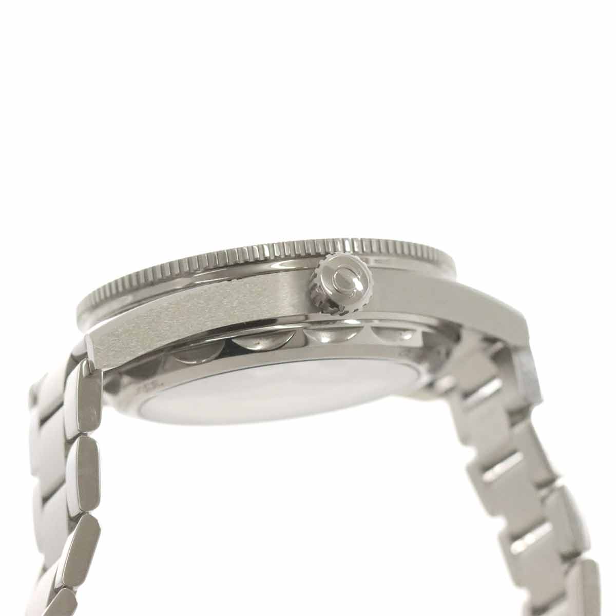 Seamaster 300 Master Chronometer 234 30 41 21 03 001 Blue