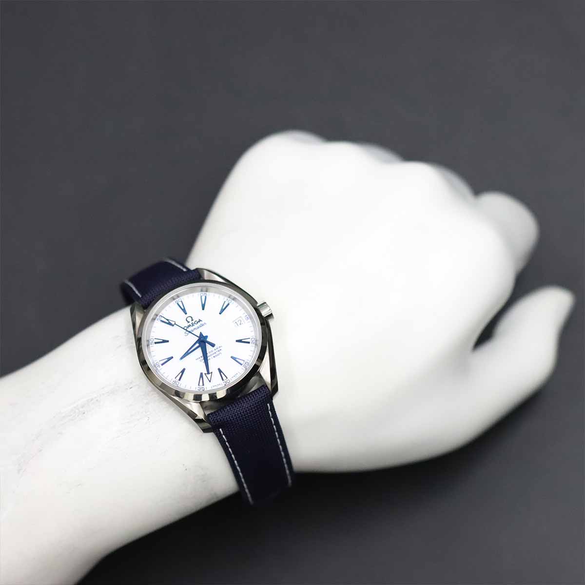 Seamaster Aqua Terra Good Planet 231.92.39.21.04.001 Automatic
