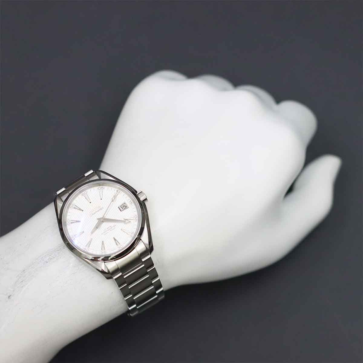 Aqua Terra Co-Axial 231.10.39.21.02.001 Silver Dial