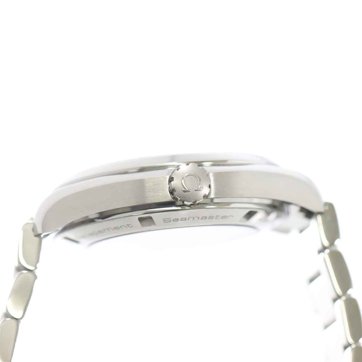 Aqua Terra Co-Axial 231.10.39.21.02.001 Silver Dial