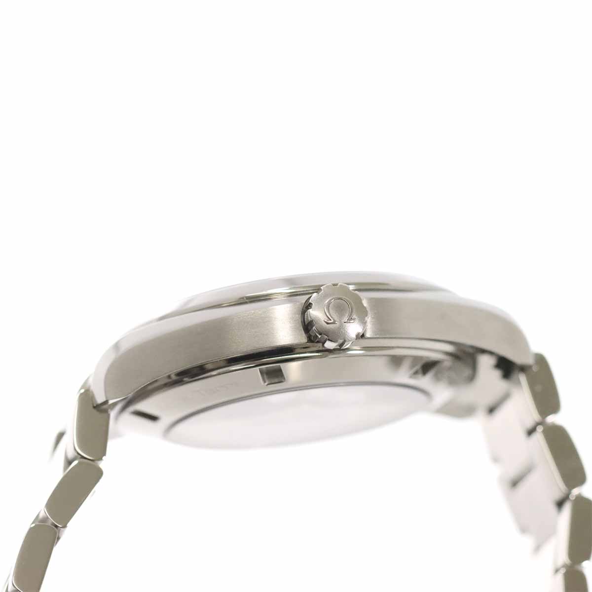 Seamaster Aqua Terra Co-Axial 231 10 42 21 01 002 Black Dial