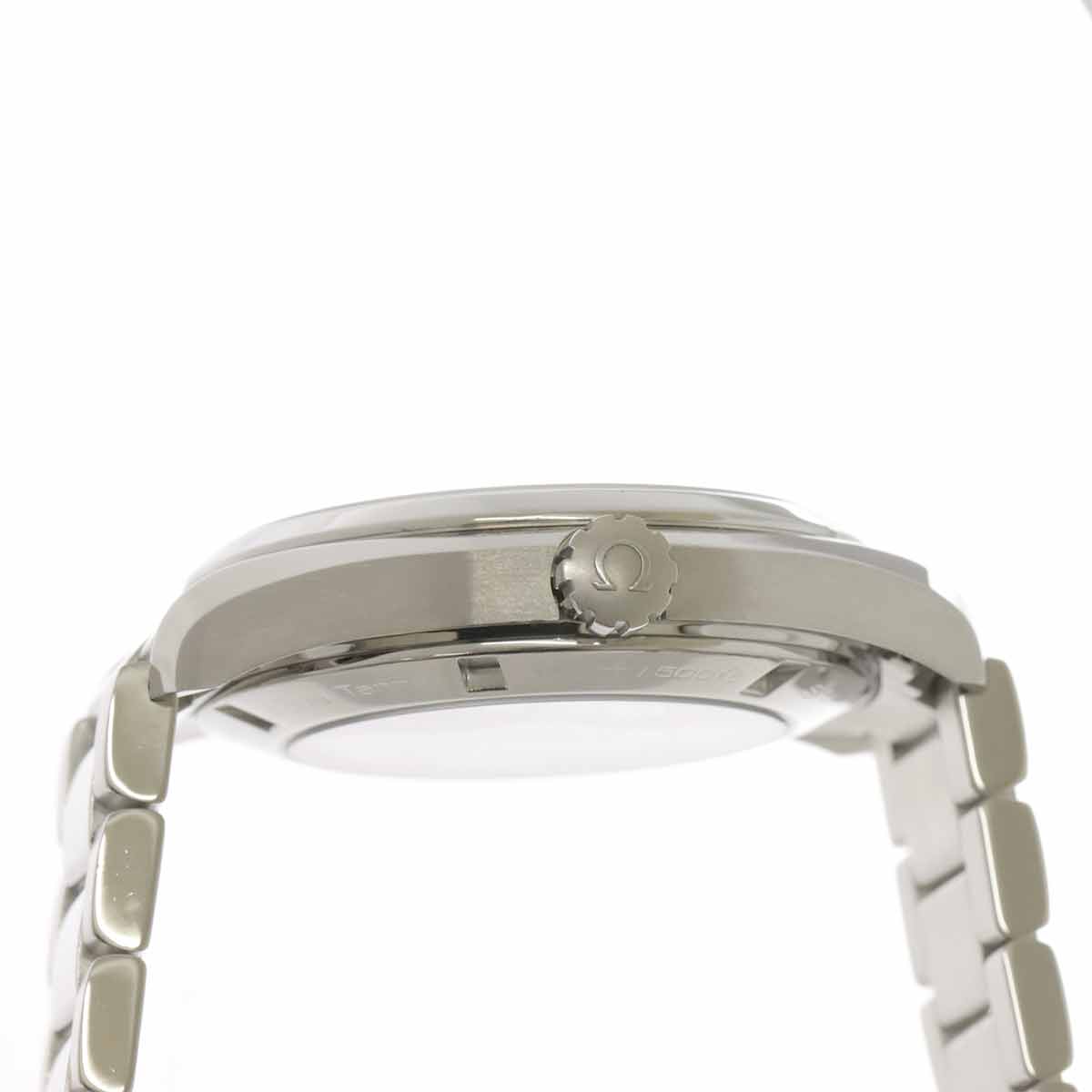 Seamaster Aqua Terra Co-Axial 231.10.42.21.02.004 Silver Dial