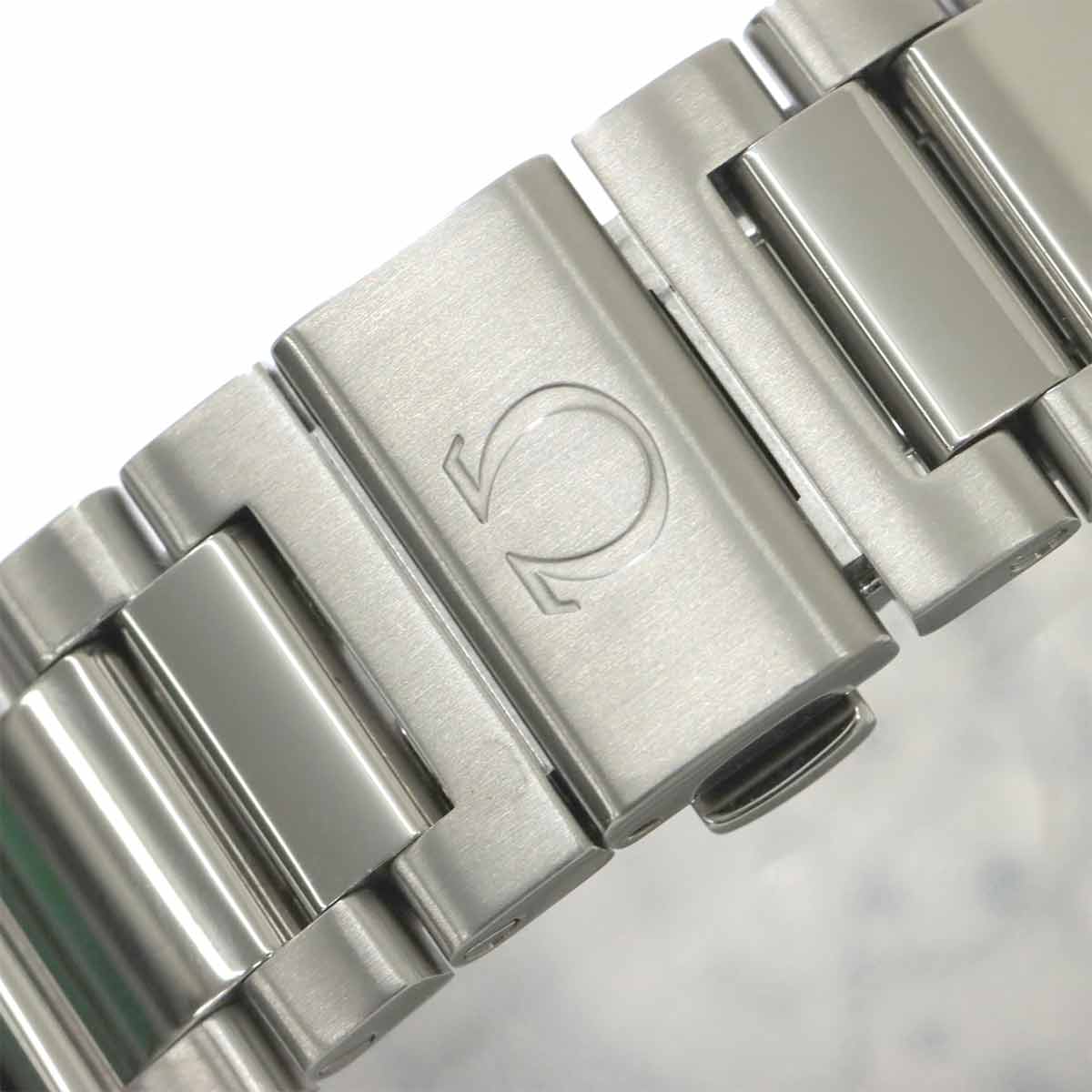 Seamaster Aqua Terra Co-Axial 231.10.42.21.02.004 Silver Dial