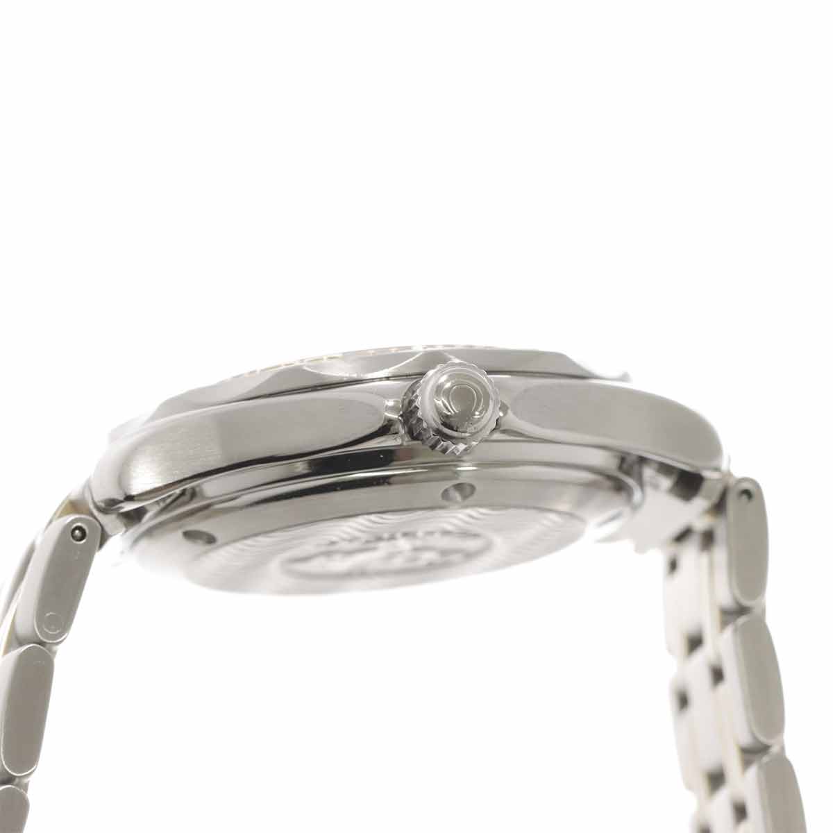 Seamaster Professional 300m 2453 50 Automatic Date Boys Watch