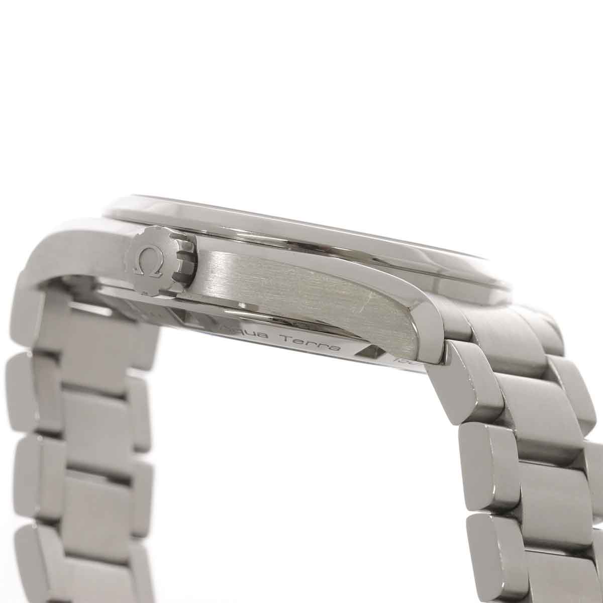 Seamaster Aqua Terra Co-Axial 231.10.42.21.02.001 Silver Dial