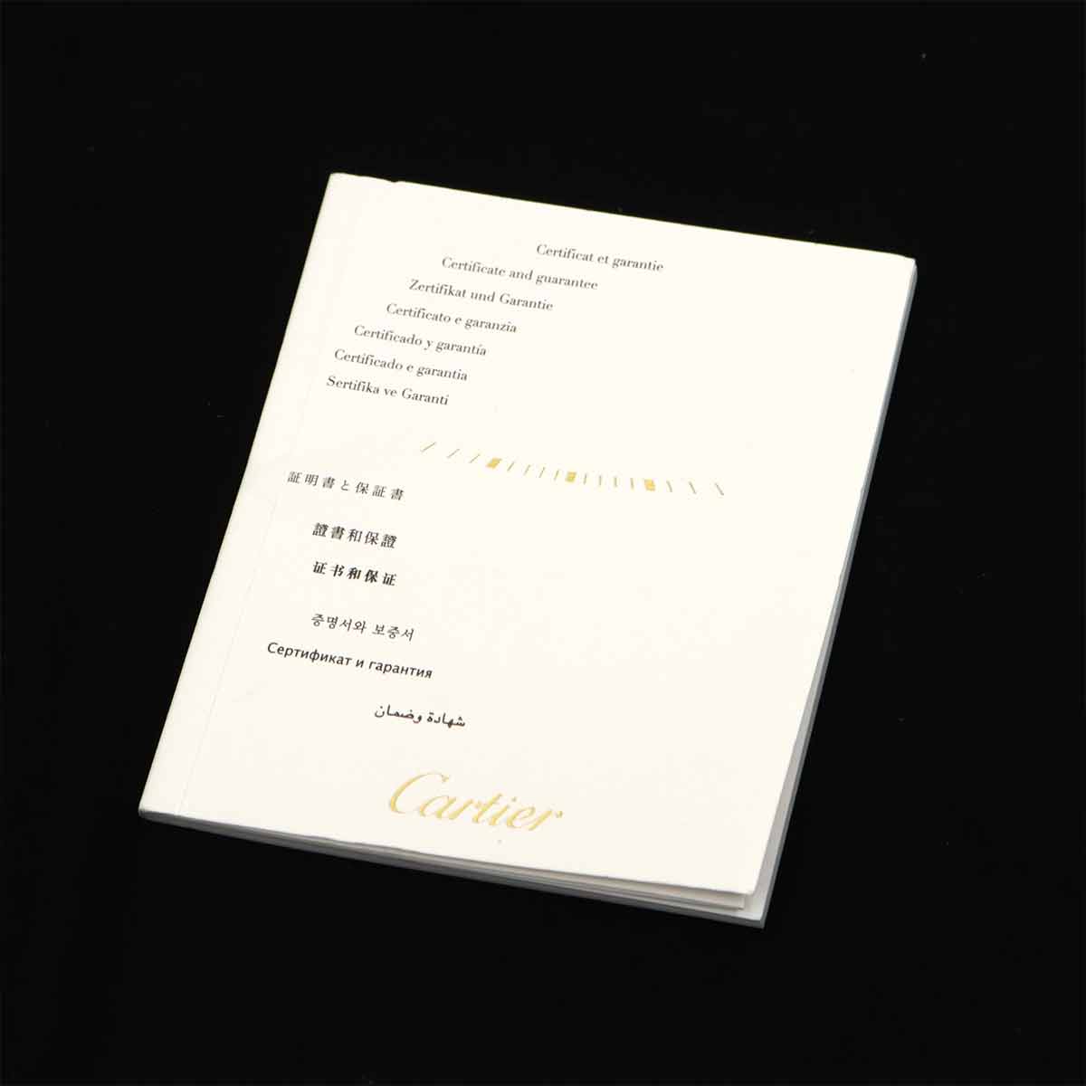 Santos 100 W2020007 Automatic K18PG Black Dial Boys Watch