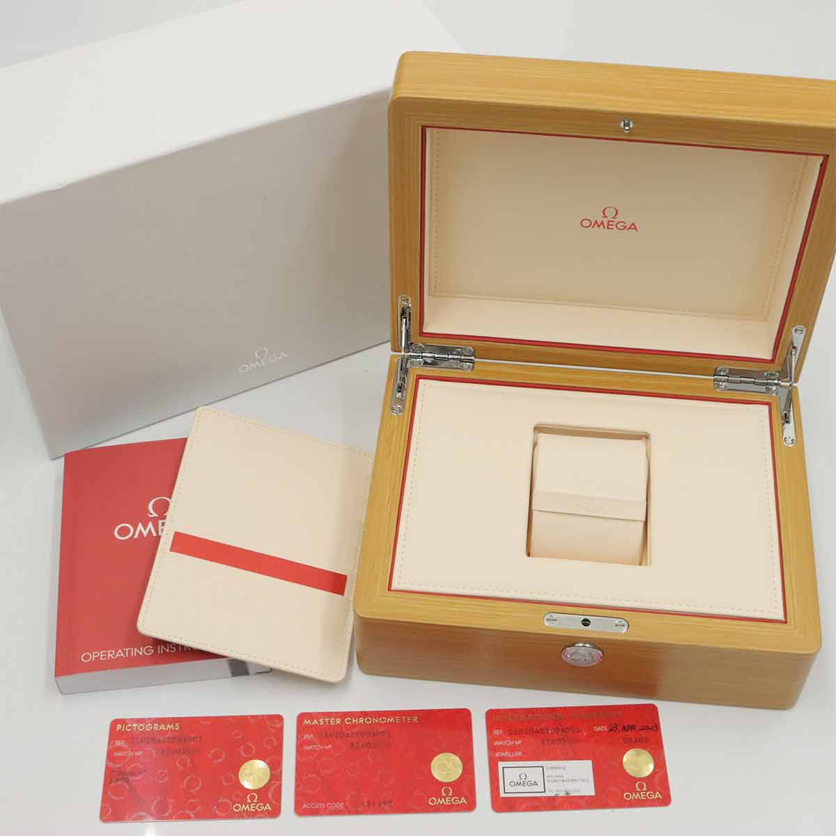 Seamaster 300 Co-Axial 210 20 42 20 01 001 Automatic Mens