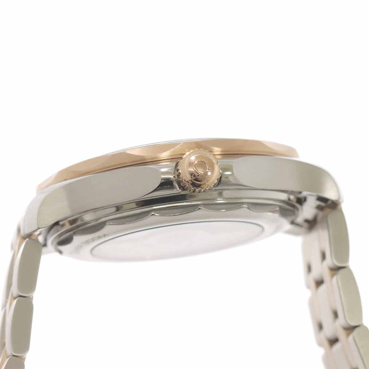 Seamaster 300 Co-Axial 210 20 42 20 01 001 Automatic Mens