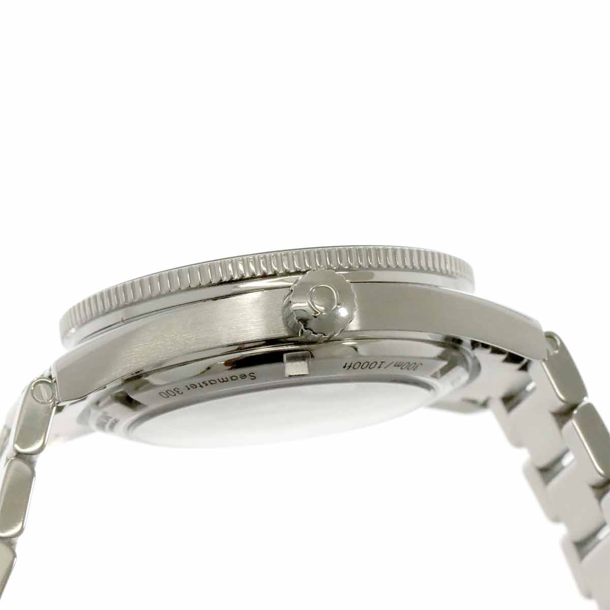 Seamaster 300 Master Co-Axial 233 30 41 21 01 001 Black Dial