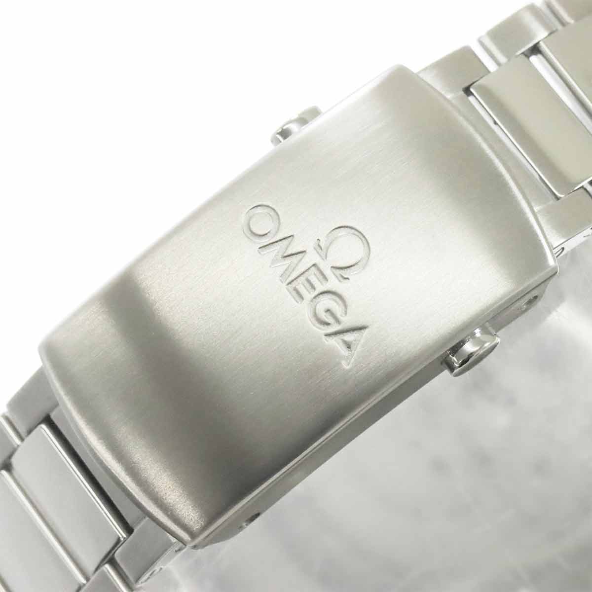 Seamaster 300 Master Co-Axial 233 30 41 21 01 001 Black Dial