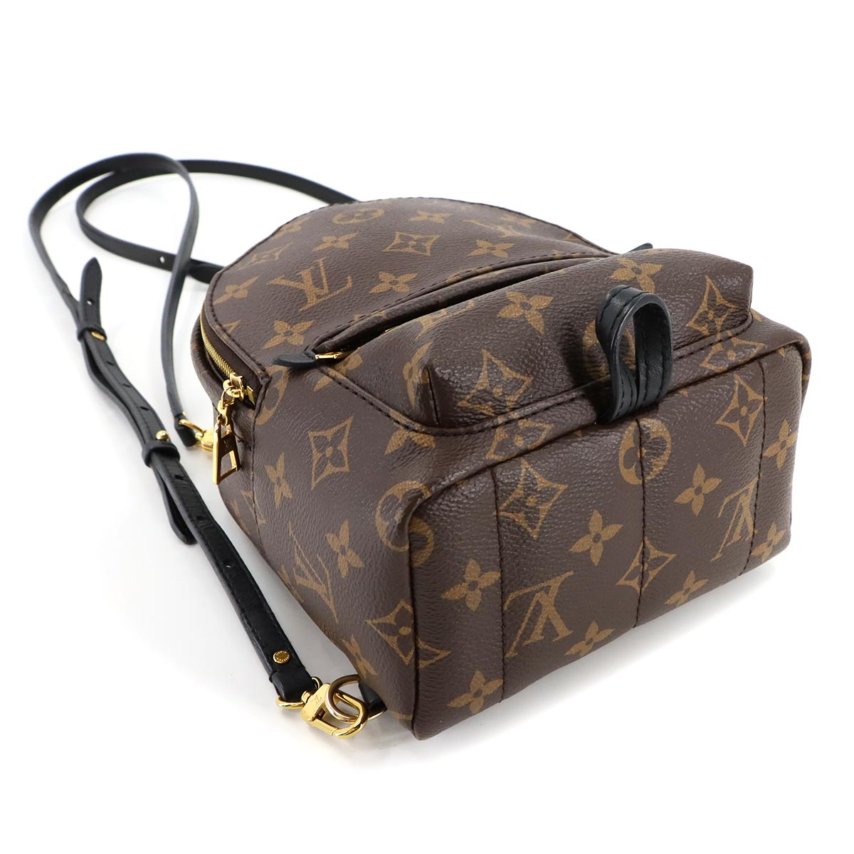 Monogram Palm Springs Backpack Mini M44873 Brown Purse