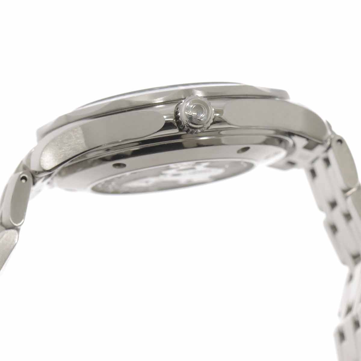 Seamaster Professional 2220.80 Automatic Date Men's Watch