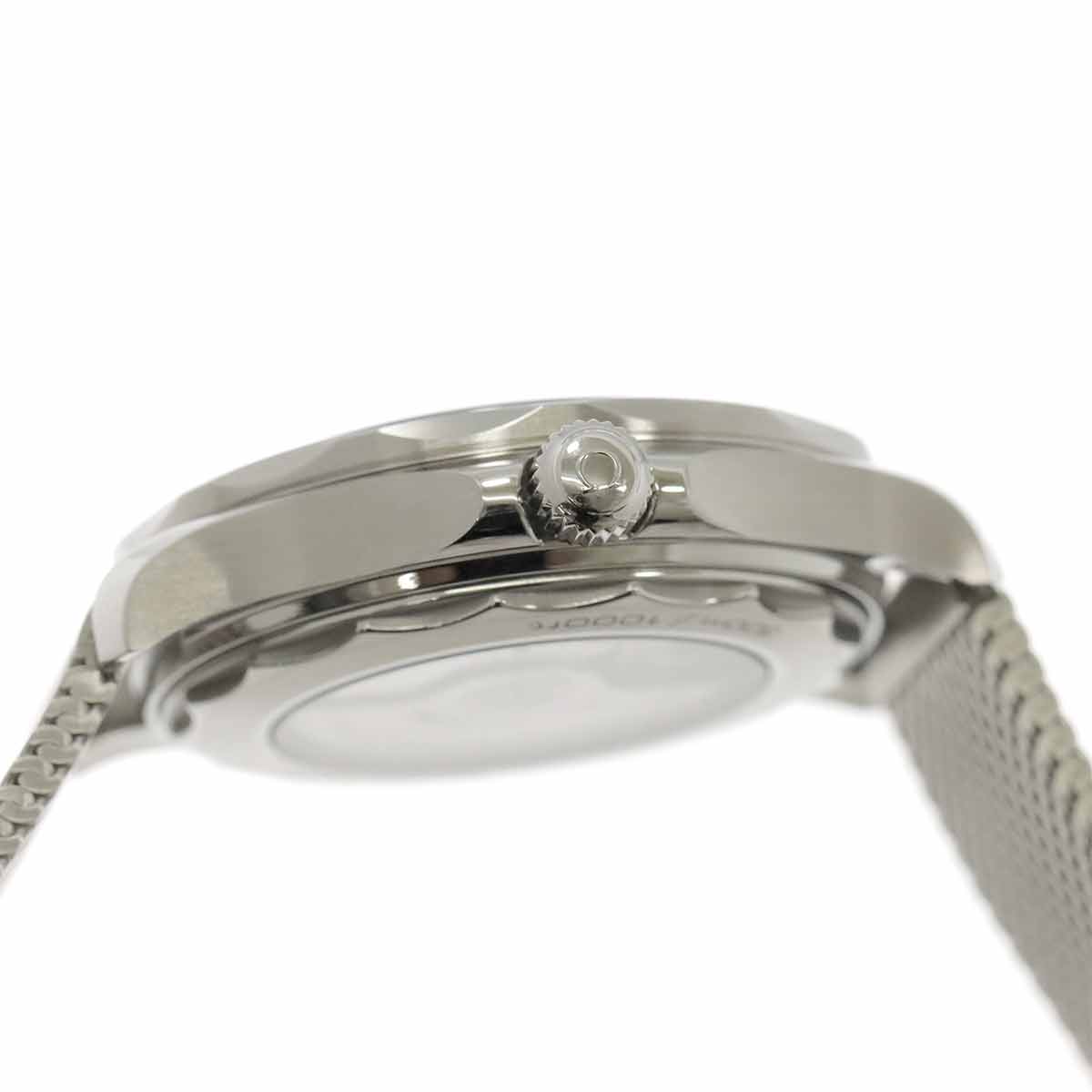 Seamaster 300 210 32 42 20 06 001 CO-AXIAL Date Gray Dial