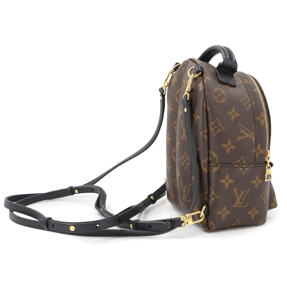 Monogram Palm Springs Backpack Mini M44873 Brown Purse