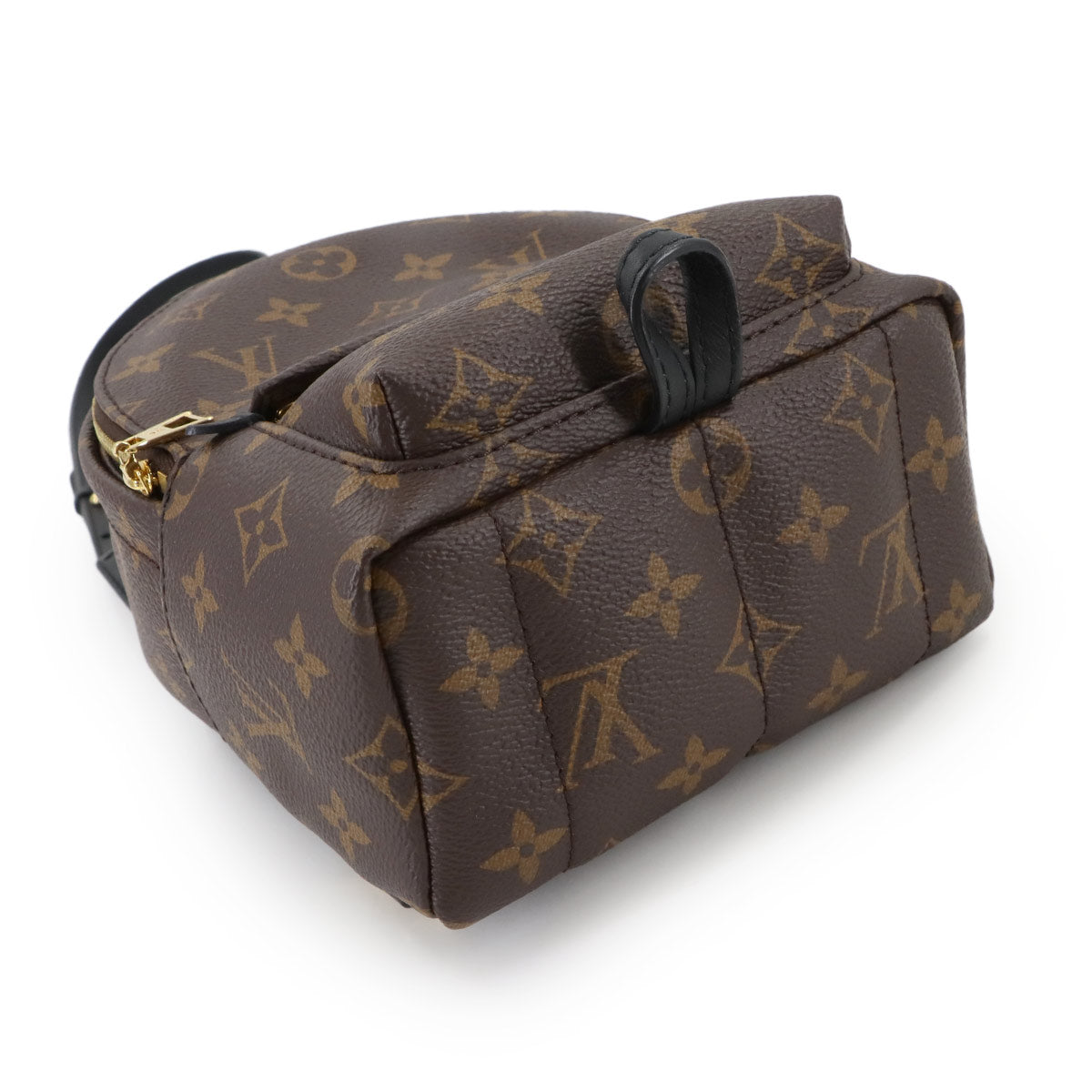 Monogram Palm Springs Backpack Mini M44873 Brown Purse