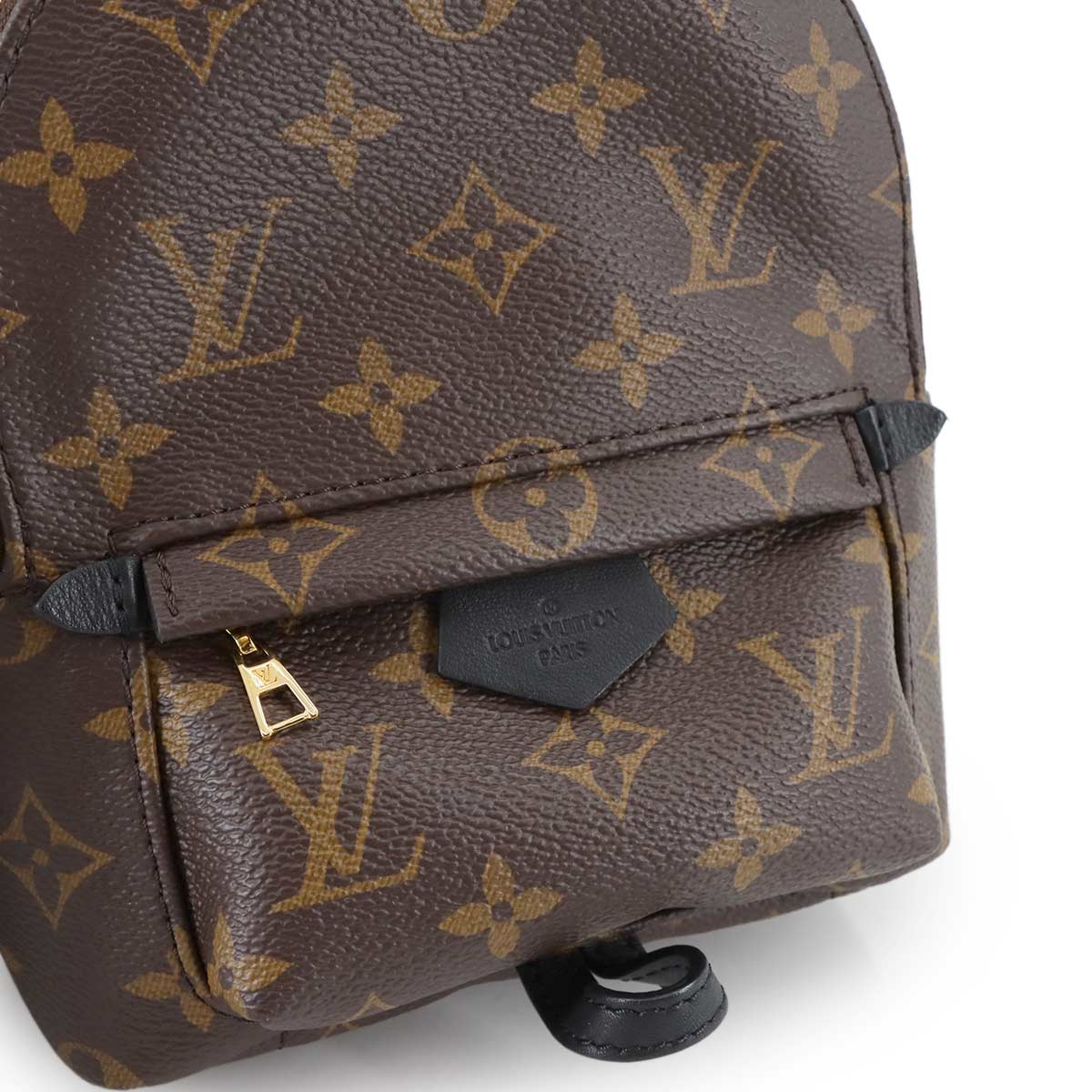 Monogram Palm Springs Backpack Mini M44873 Brown Purse