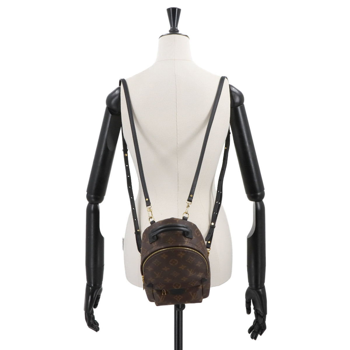 Monogram Palm Springs Backpack Mini M44873 Brown Purse