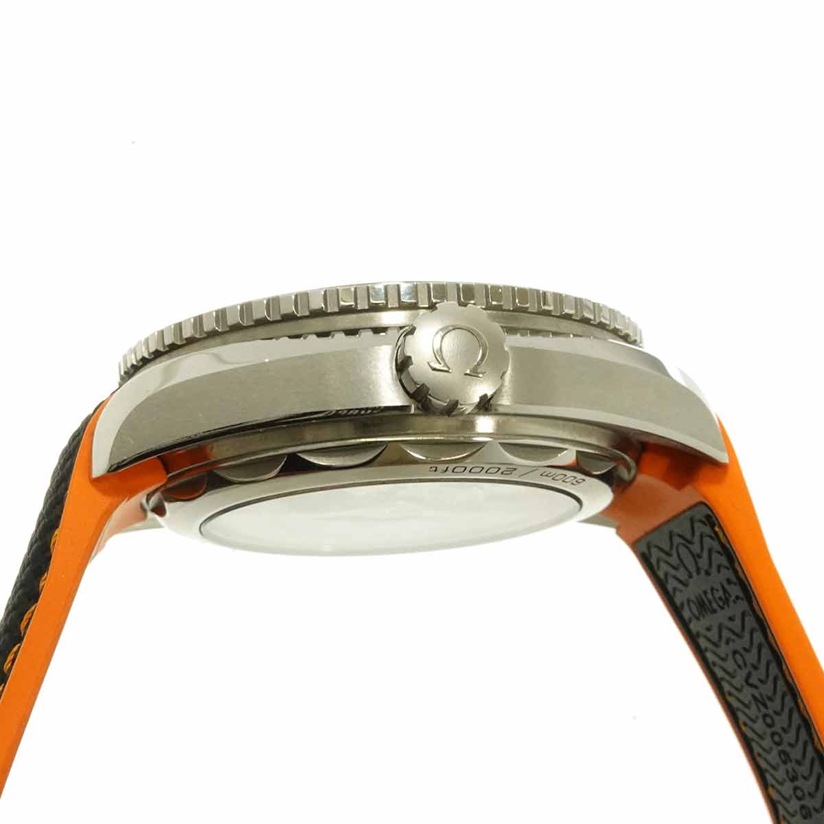 Seamaster Planet Ocean 600M 215 32 44 21 01 001 Black Dial