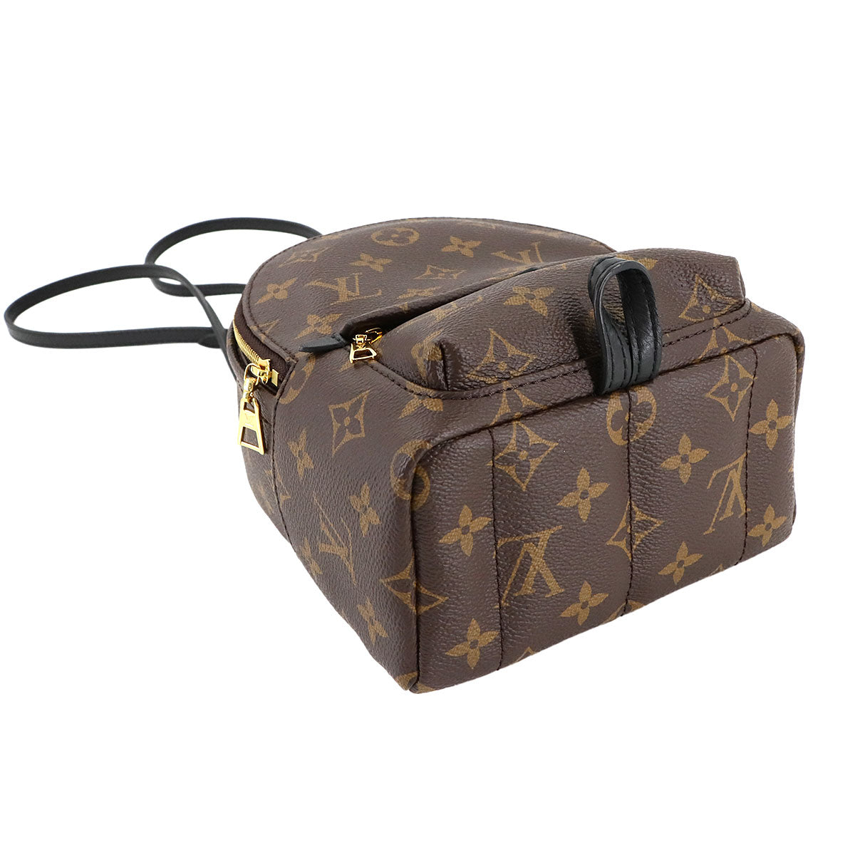 Monogram Palm Springs Backpack Mini M44873 Brown Purse