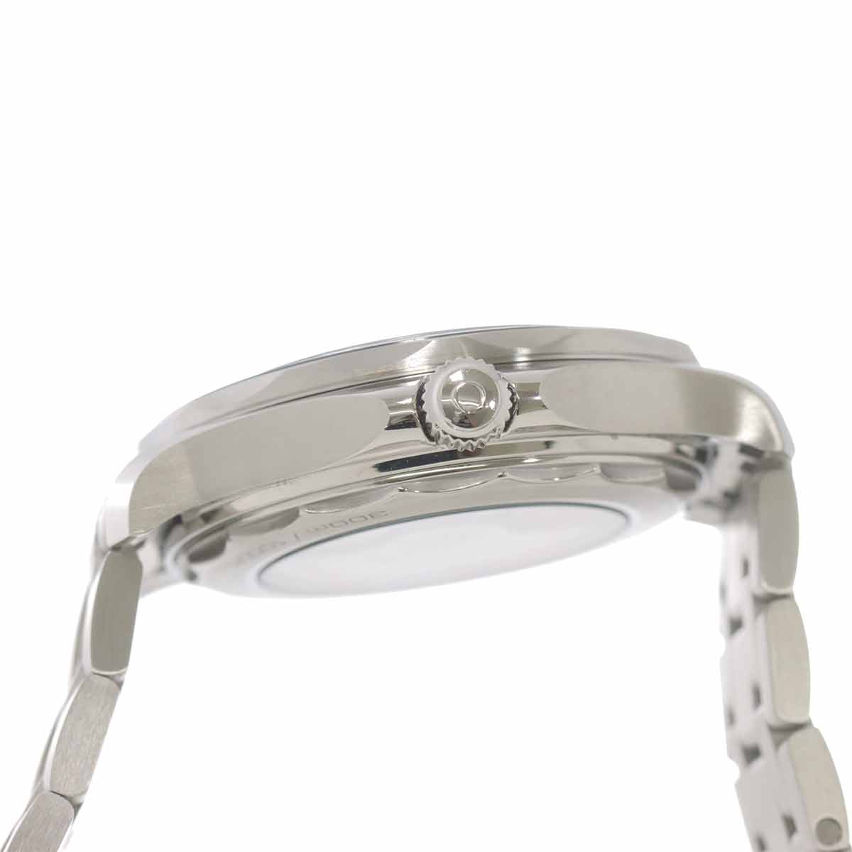 Seamaster Diver 300 Co-Axial 210 30 42 20 01 001 Automatic