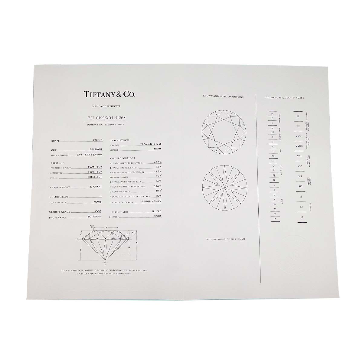 Diamond 0.23ctx2 H/VVS1-2/3EX Earrings Pierced Pt