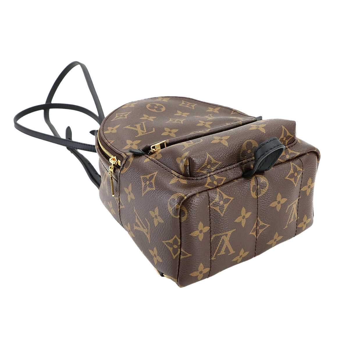 Monogram Palm Springs Backpack Mini M44873 Brown Purse