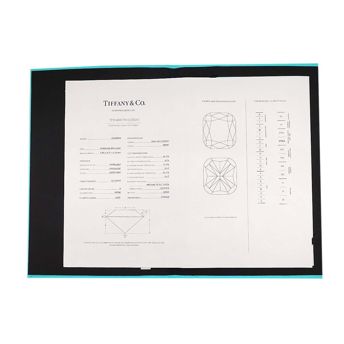 Soleste Diamond 0.36ct H/VVS2 0.15ct Necklace Pt