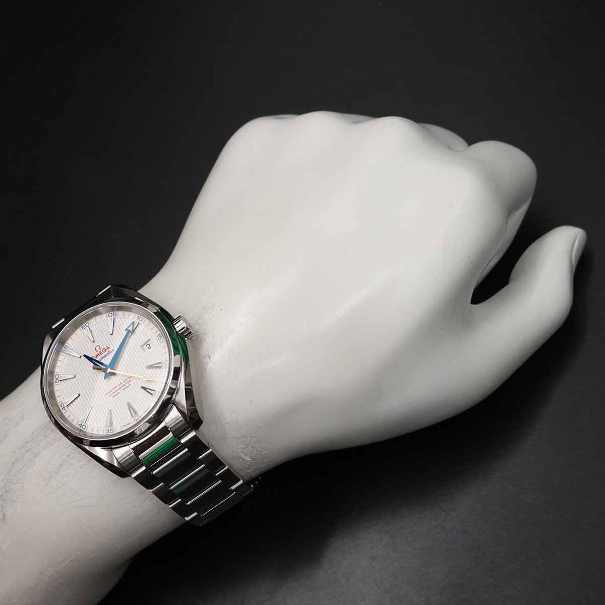 Seamaster Aqua Terra Co-Axial 231.10.42.21.02.004 Silver Dial