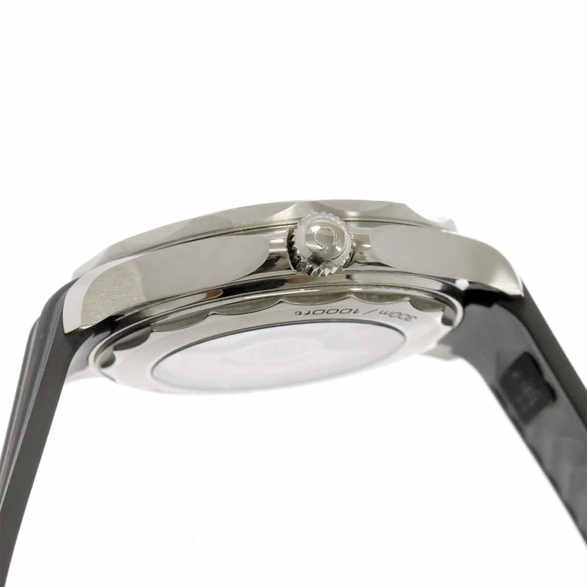 Seamaster 300 210 32 42 20 01 001 CO-AXIAL Date Black Dial