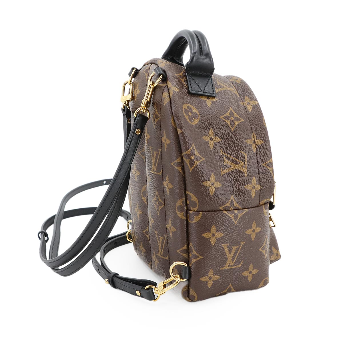 Monogram Palm Springs Backpack Mini M41562 Brown Purse