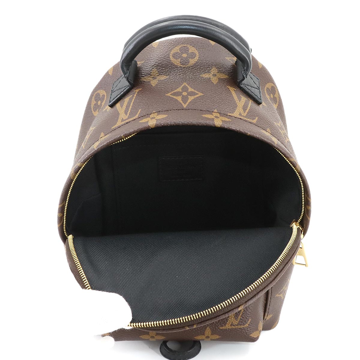 Monogram Palm Springs Backpack Mini M41562 Brown Purse