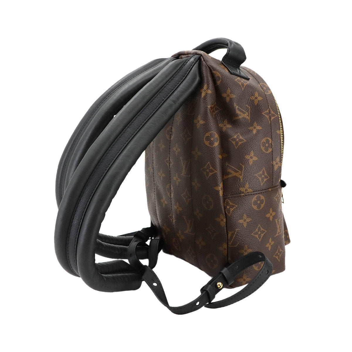 Monogram Palm Springs Backpack PM Leather Brown M44871