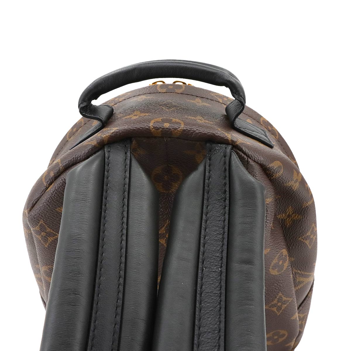 Monogram Palm Springs Backpack PM Leather Brown M44871
