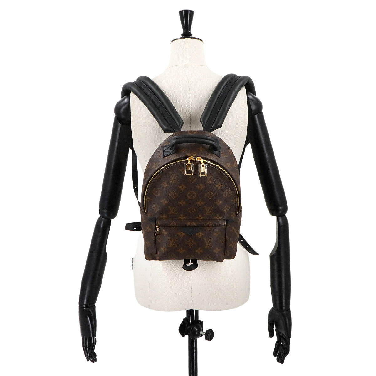 Monogram Palm Springs Backpack PM Leather Brown M44871