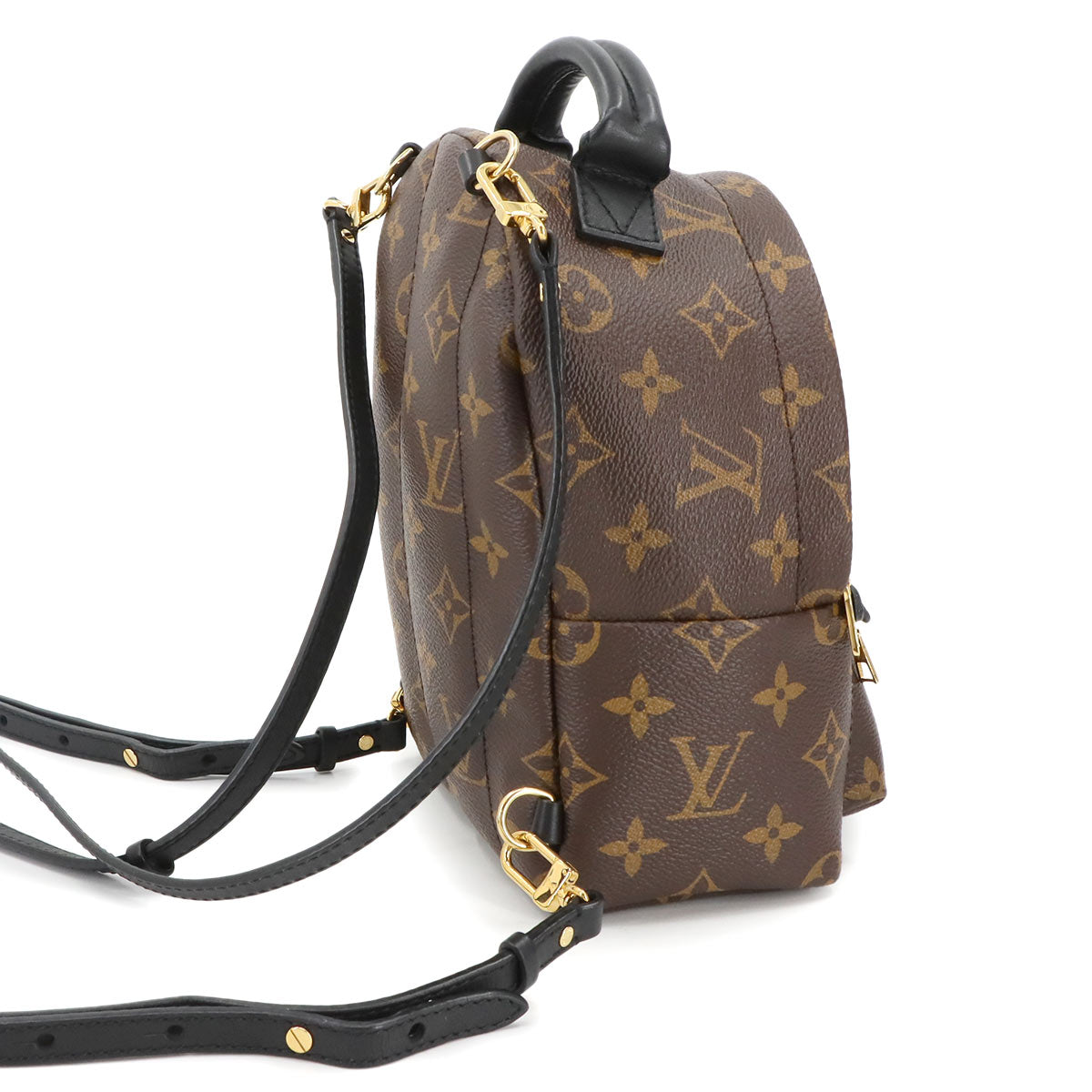 Monogram Palm Springs Backpack MINI Brown Black M41562
