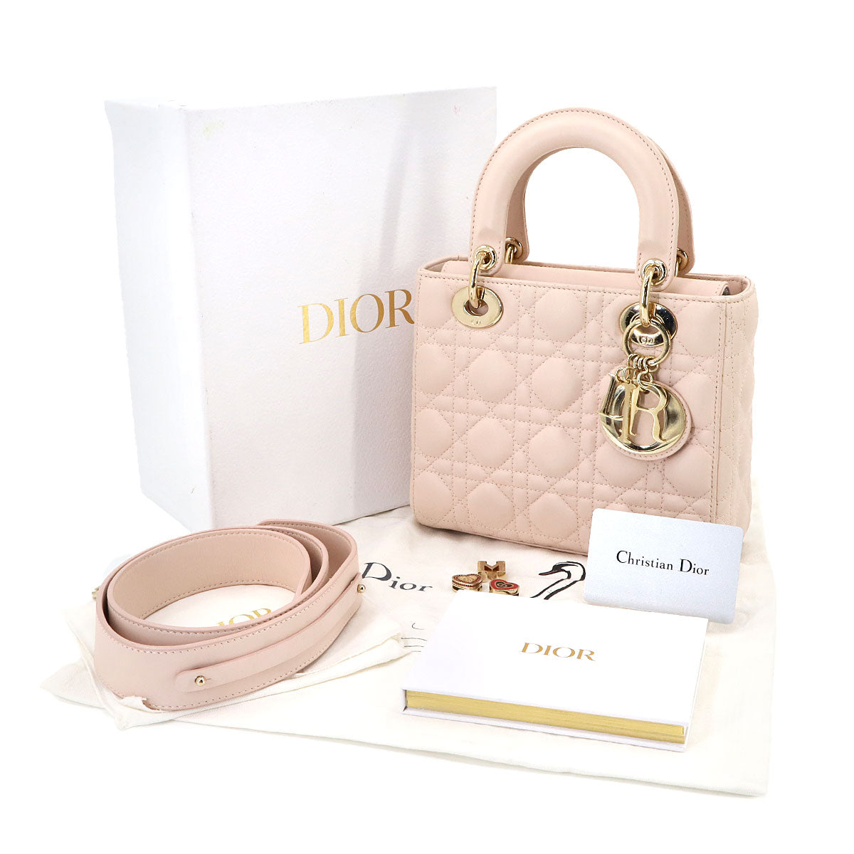 Lady Dior My ABCDior Small Hand Shoulder Bag Leather