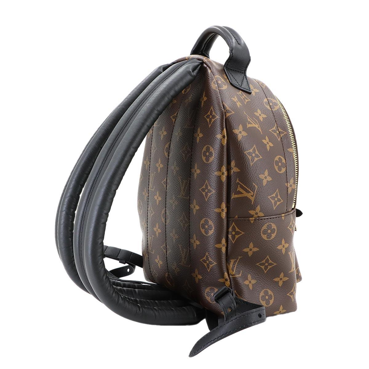 Monogram Palm Springs Backpack PM Leather Brown M44871