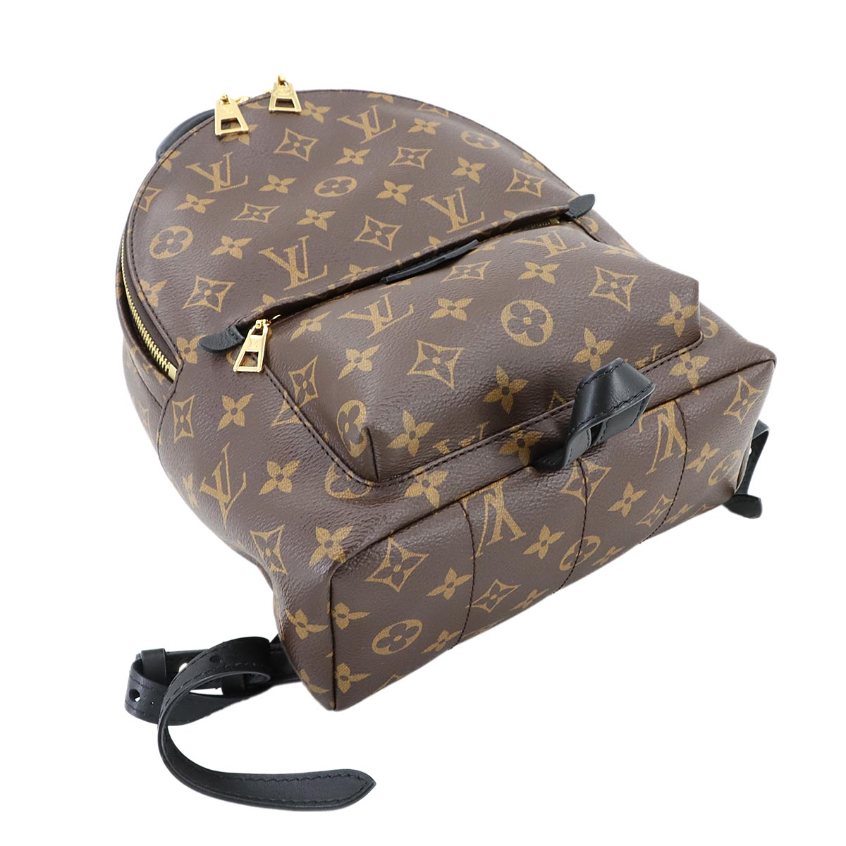 Monogram Palm Springs Backpack PM Leather Brown M44871