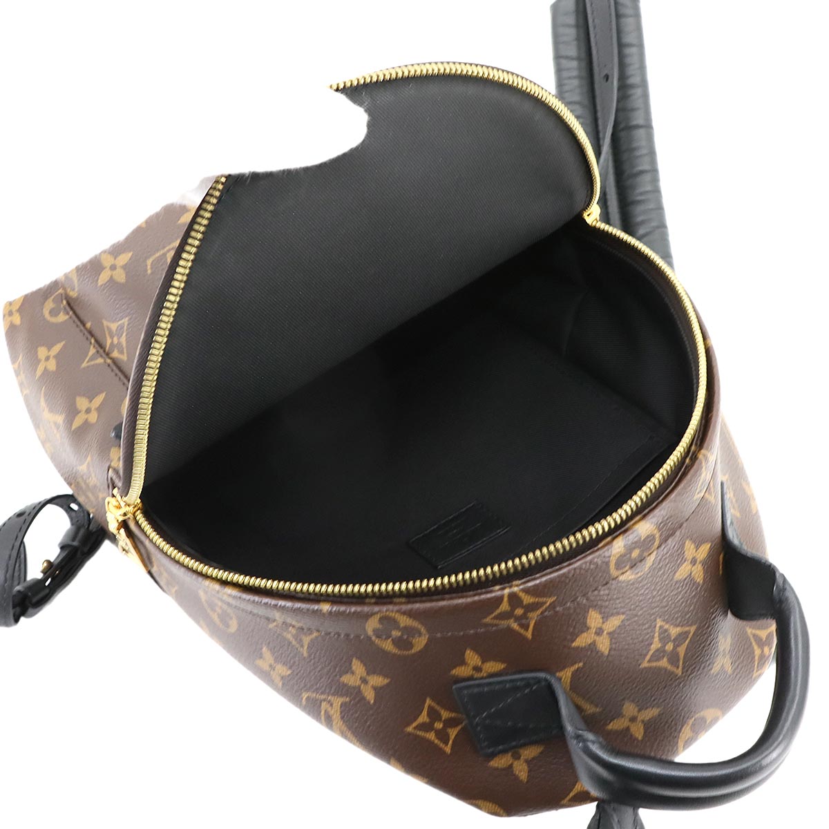 Monogram Palm Springs Backpack PM Leather Brown M44871