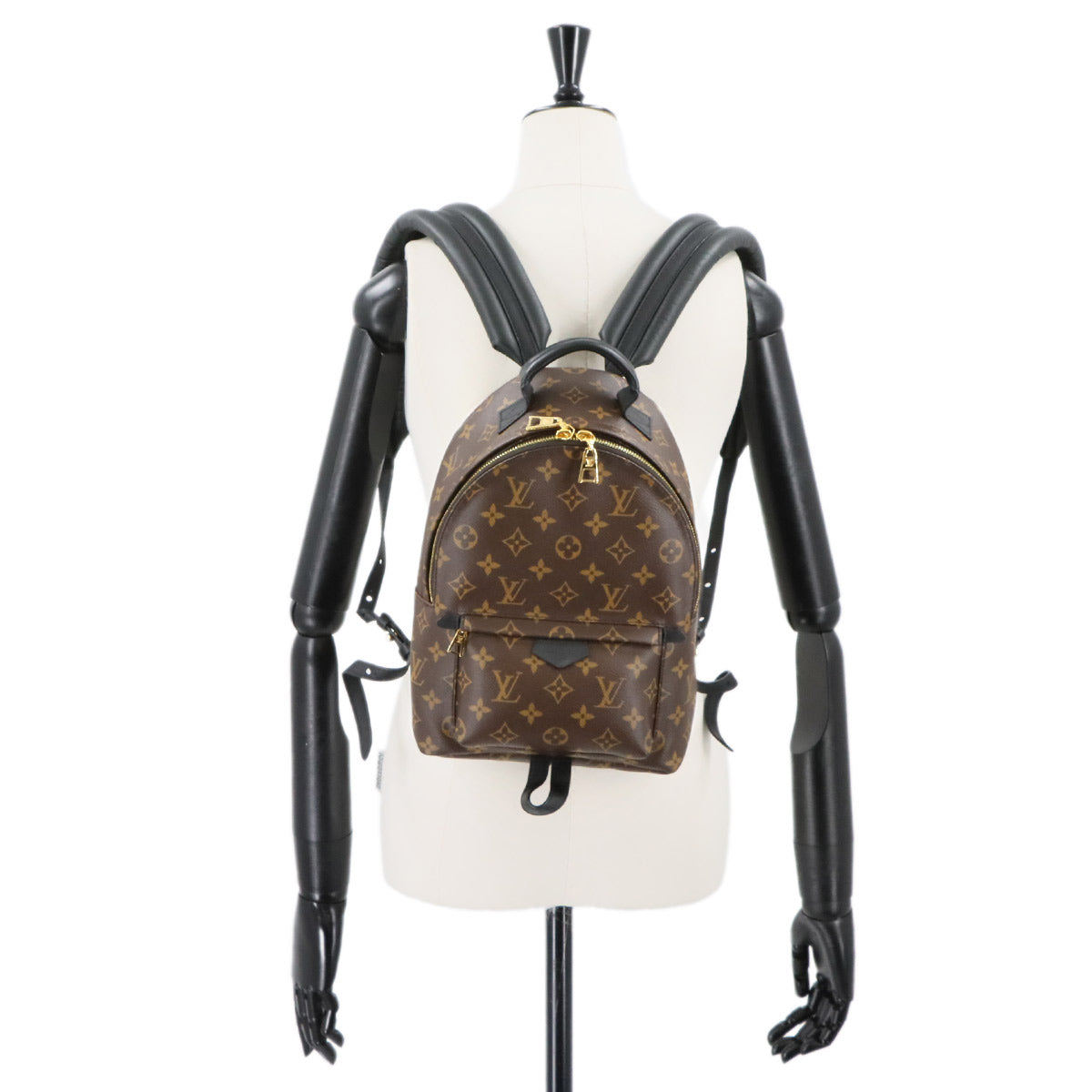 Monogram Palm Springs Backpack PM Leather Brown M44871