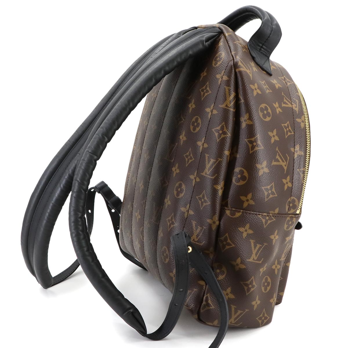 Monogram Palm Springs MM Backpack Brown Black M44874