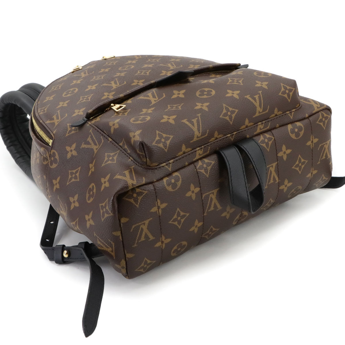 Monogram Palm Springs MM Backpack Brown Black M44874