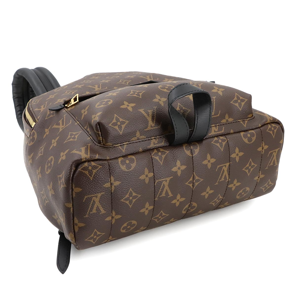 Monogram Palm Springs MM Backpack Brown Black M44874