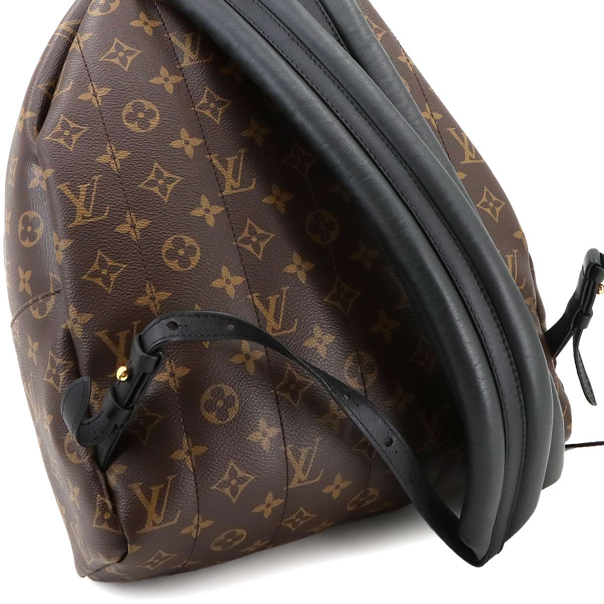 Monogram Palm Springs MM Backpack Brown Black M44874