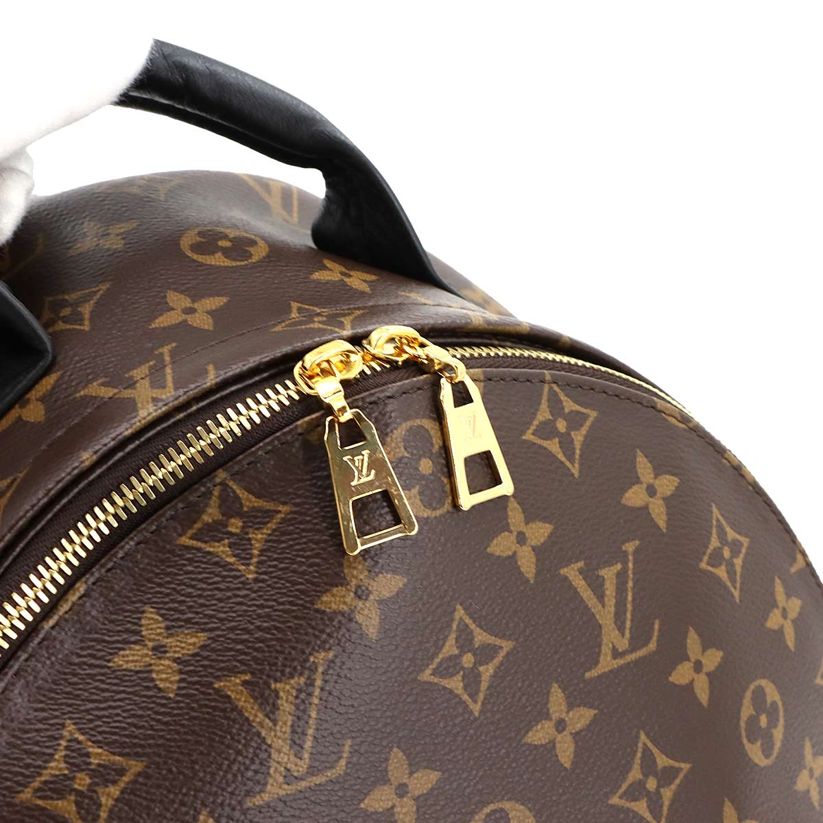 Monogram Palm Springs MM Backpack Brown Black M44874