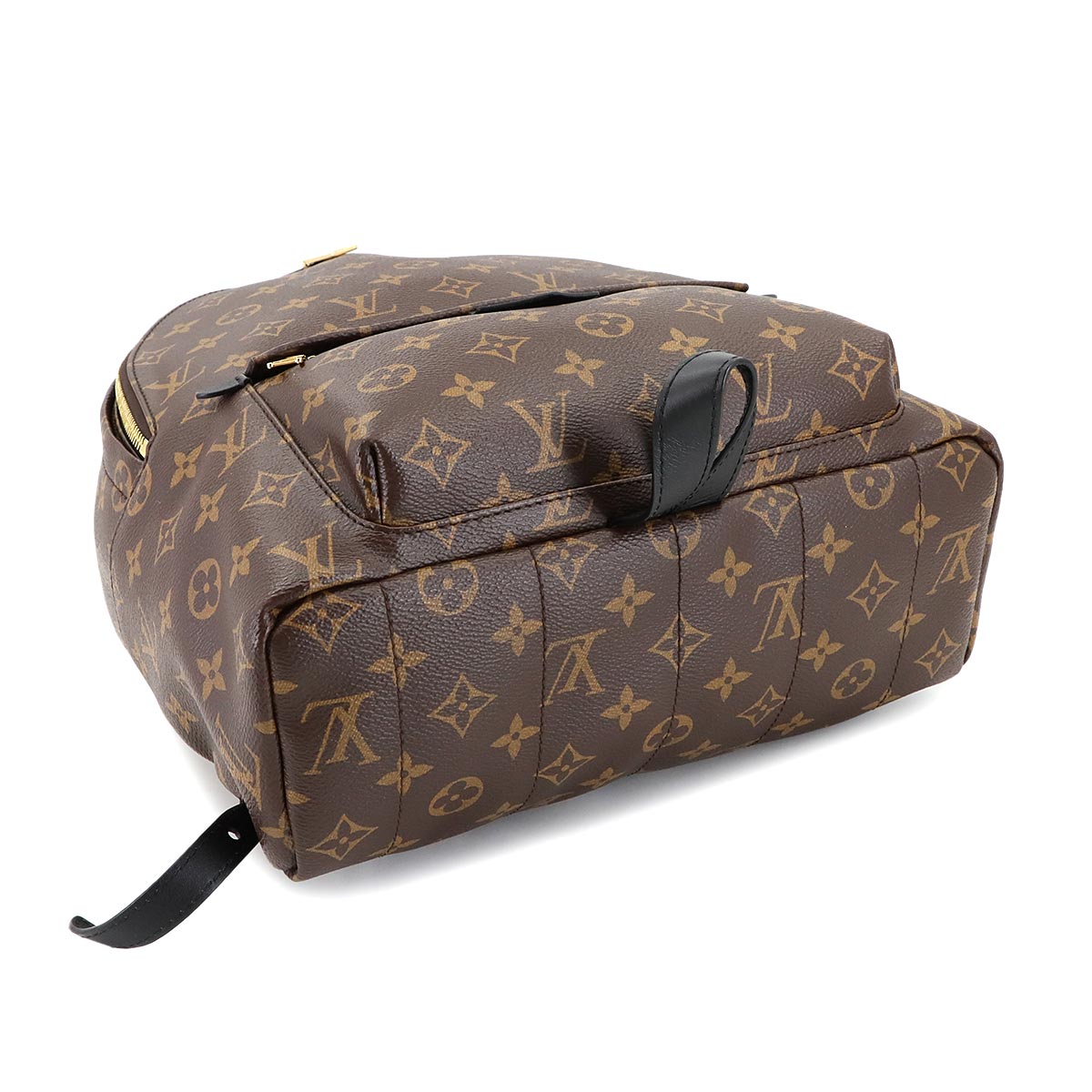 Monogram Palm Springs MM Backpack Brown Black M44874