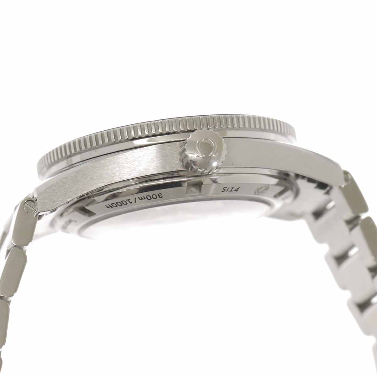 Seamaster 300 Master Co-Axial 233 30 41 21 01 001 Black Dial