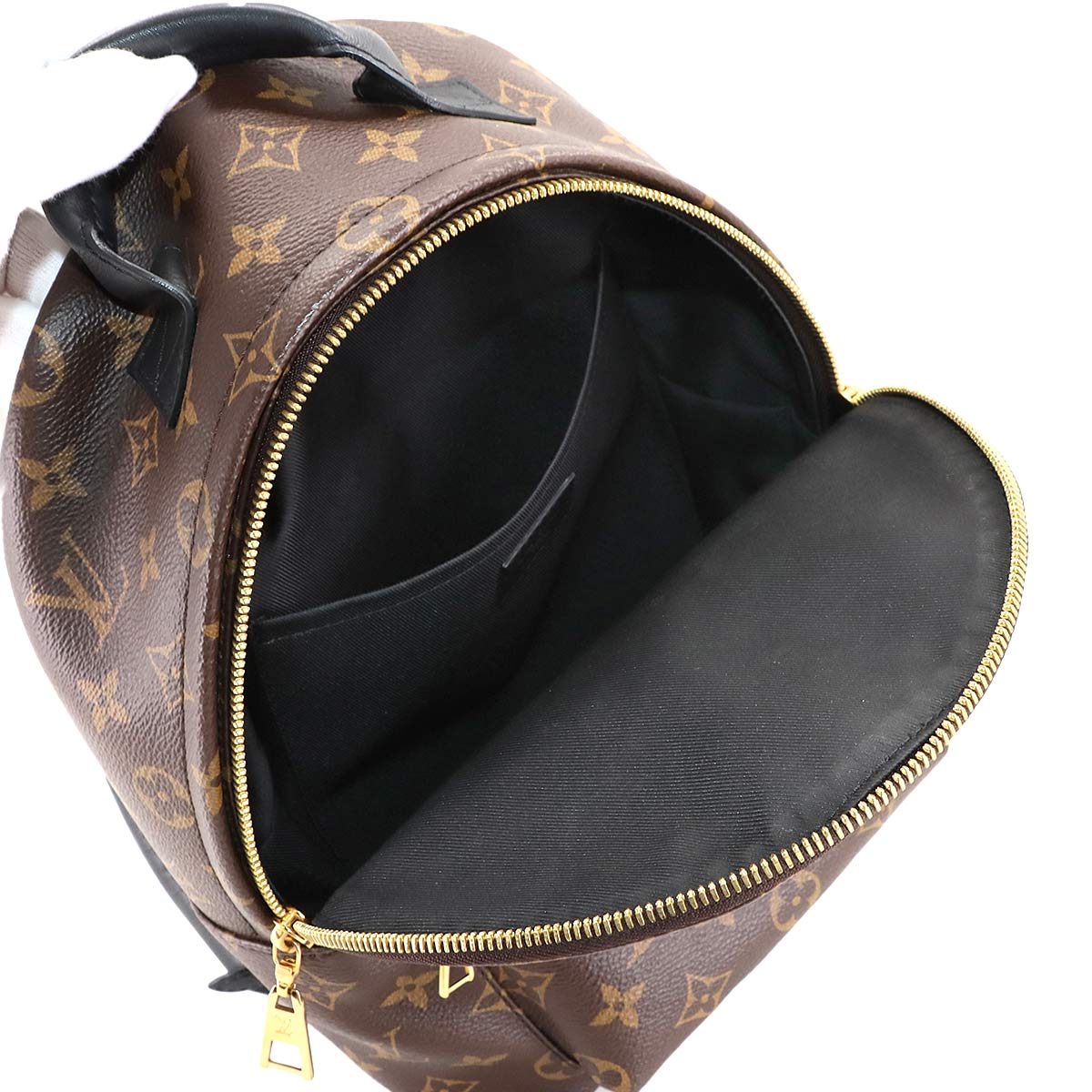 Monogram Palm Springs Backpack PM Leather Brown M44871