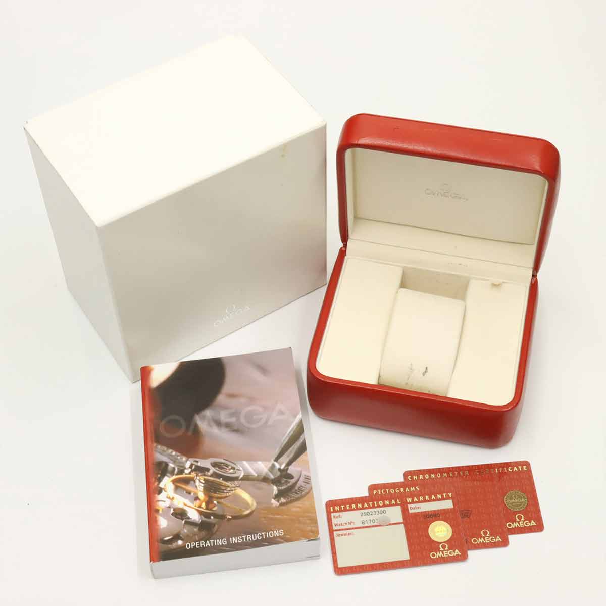 Seamaster Aqua Terra 2502.33 Automatic Silver Dial Mens Watch