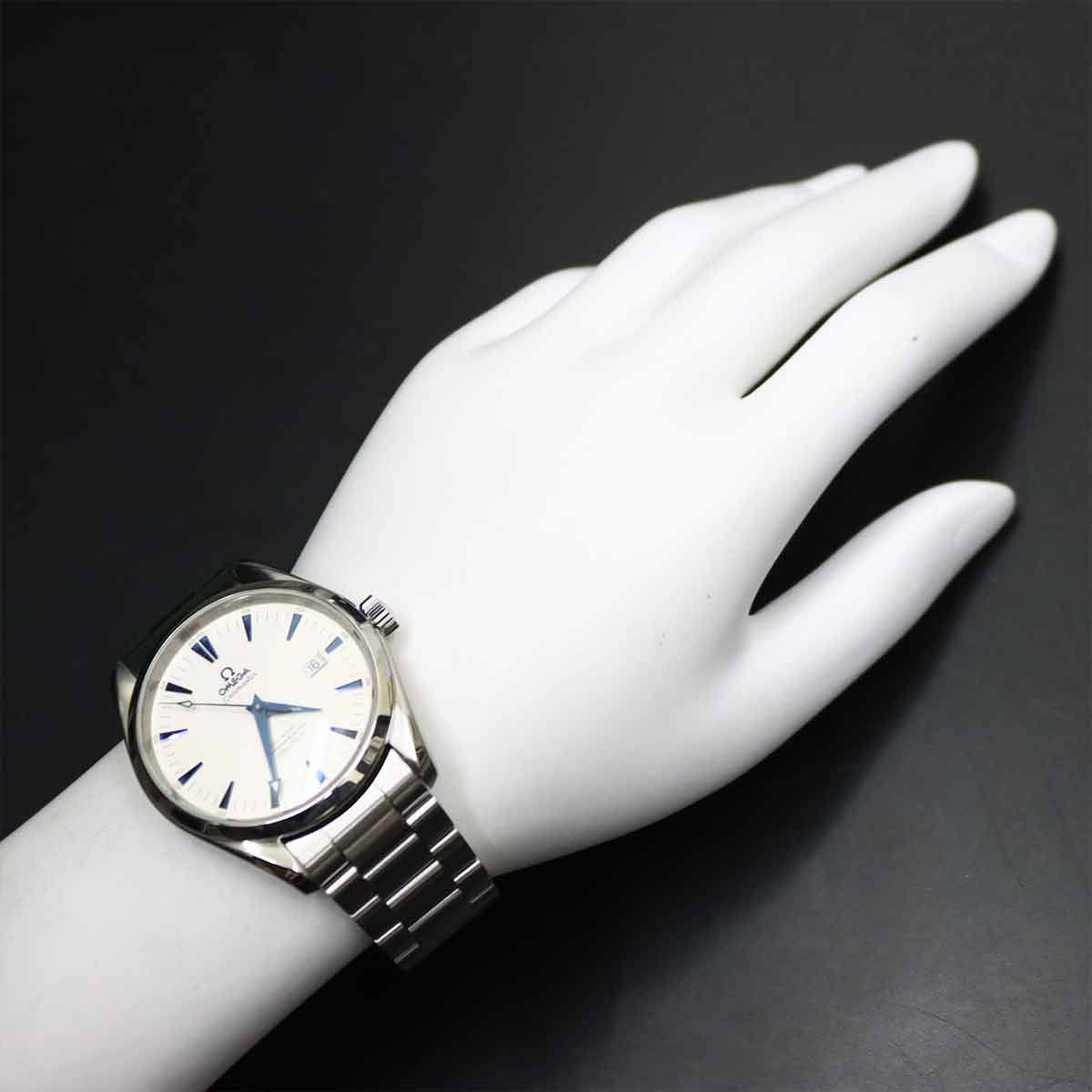 Seamaster Aqua Terra 2502.33 Automatic Silver Dial Mens Watch